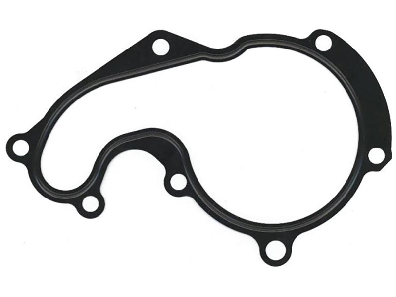 FORD Guarnizione pompa acqua