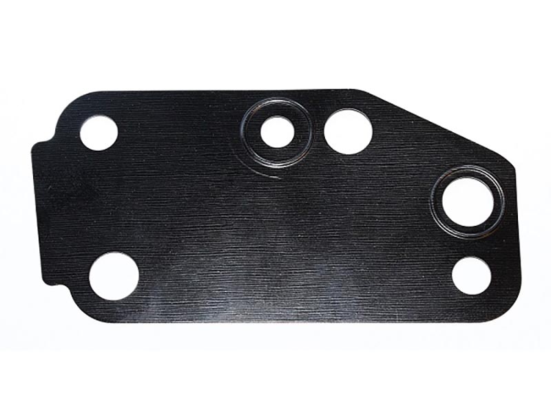 FORD Guarnizione pompa acqua
