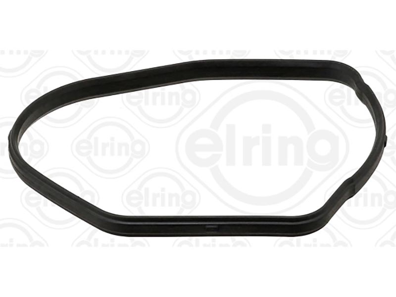 BMW Guarnizione termostato