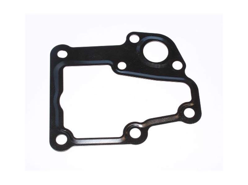 Gasket, thermostat housing