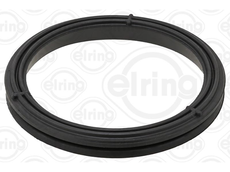 Gasket, timing case cover