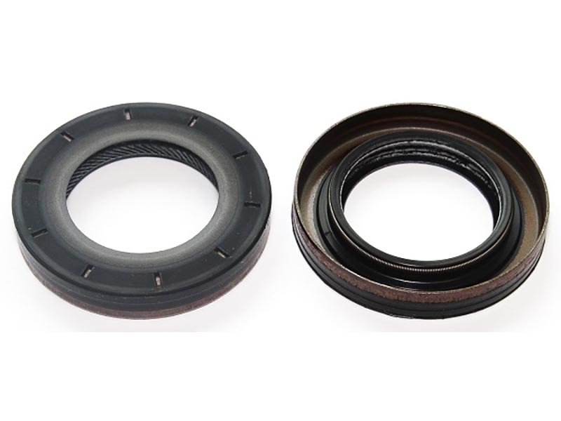 Seal ring, differential