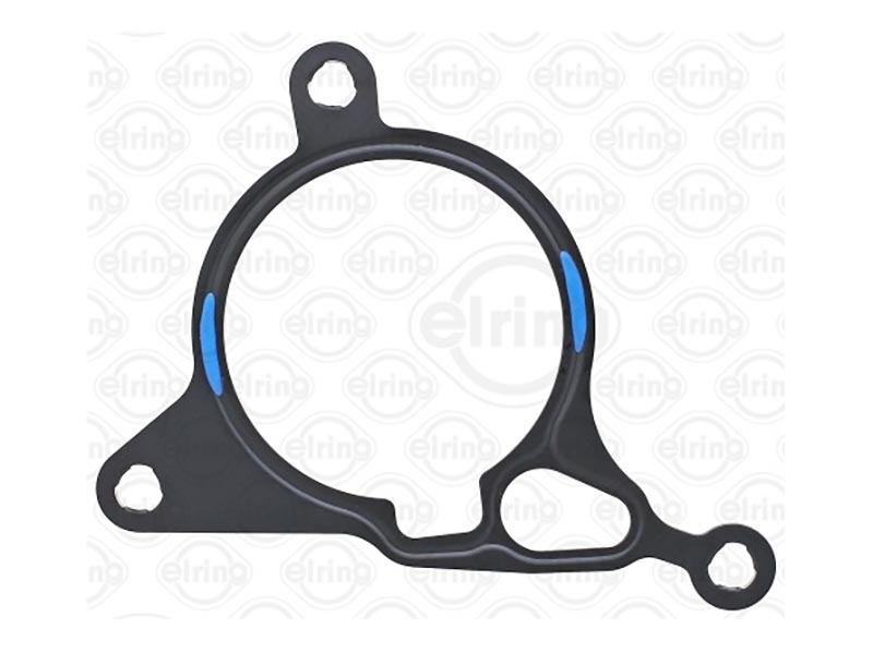 Gasket, vacuum pump
