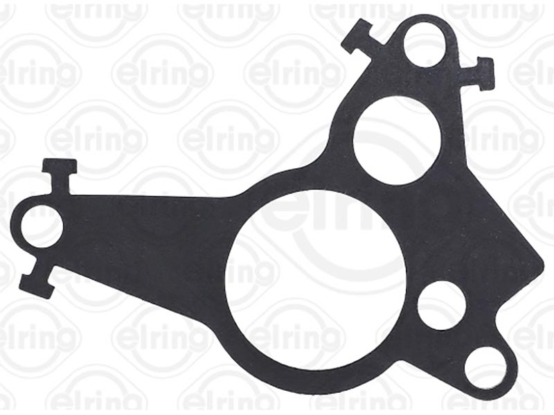 Gasket, vacuum pump