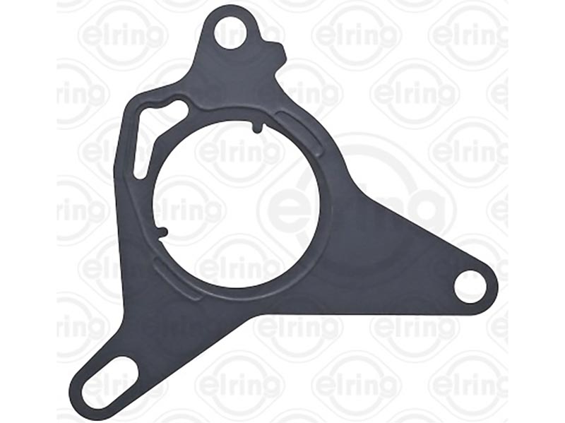 Gasket, vacuum pump