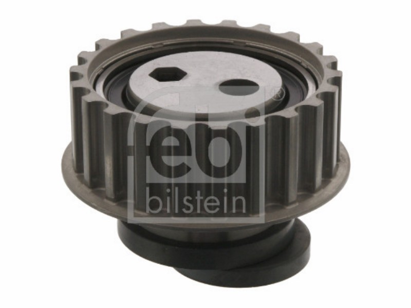Puleggia tenditore BMW 316 I - 73 kw / 99 hp 318 I - 8