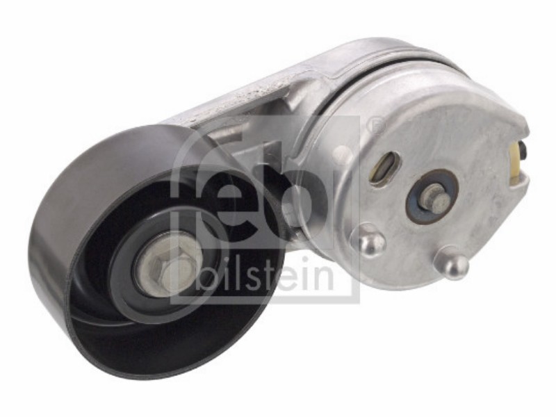 Tensionatore idraulico Jaguar s-type (X200) 4.0 32V s-type