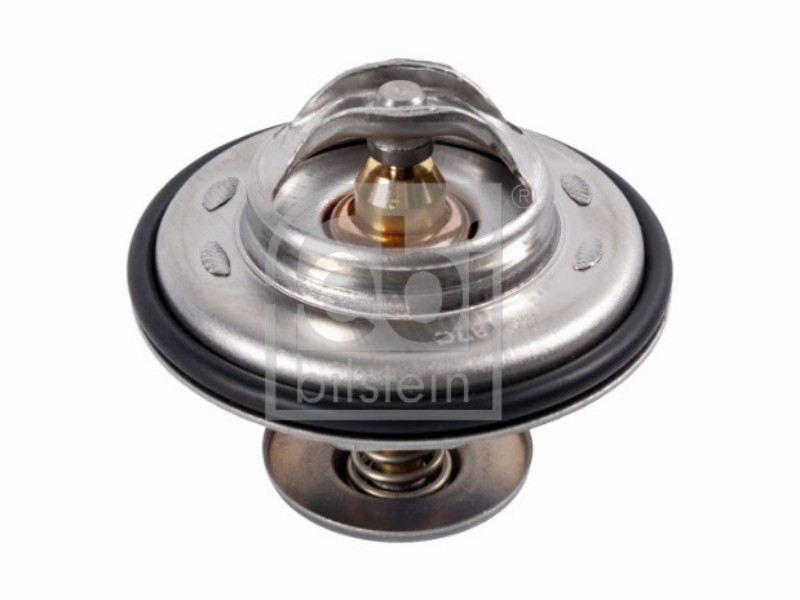 Termostato BMW 316 I - 73 kw / 99 hp 316 I - 7