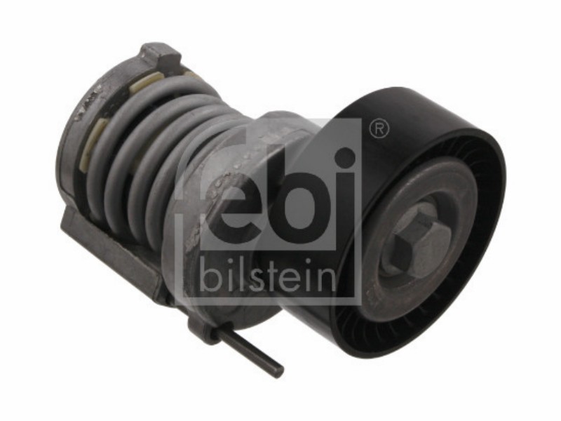 Tensionatore idraulico Audi A2 (8Z) 1.4 16V A2 (8Z) 1.6 fs