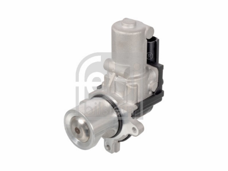 EGR valve