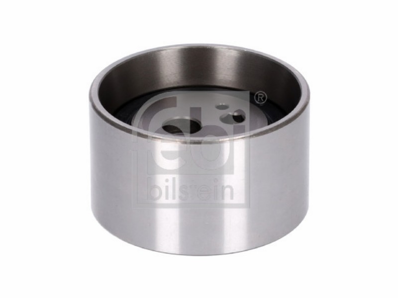 Puleggia tenditore bluebird (U11) 2.0 d bluebir