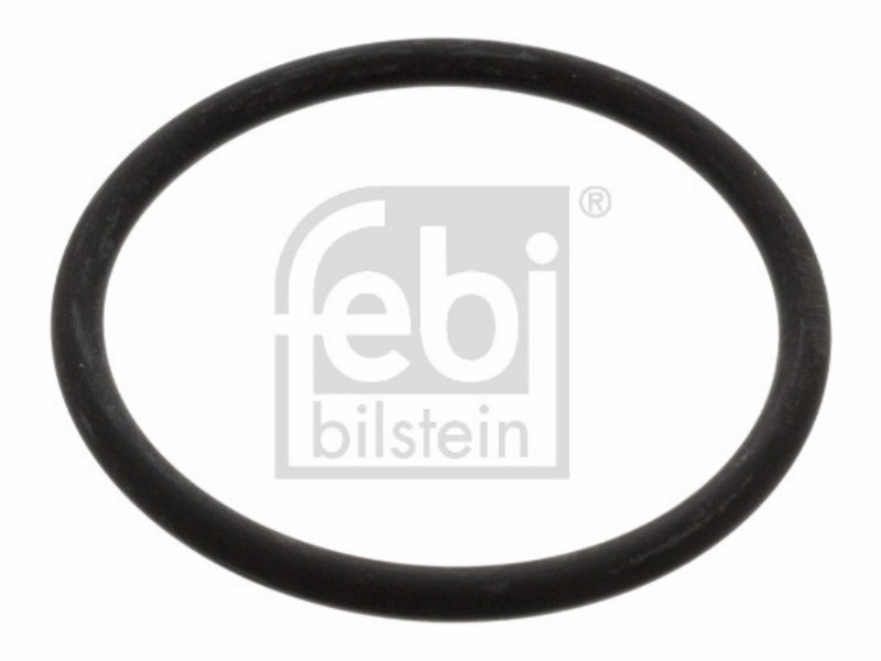 O-ring Audi 100 (43) 1.6 100 (43) 1.9 100