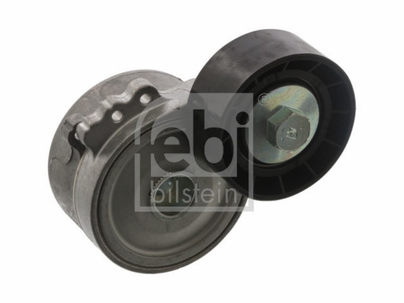 Tensionatore idraulico Citroën berlingo I 1.9 d berlingo I