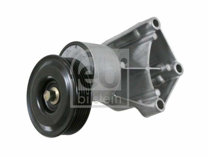 Tensionatore idraulico Ford pkw Fiesta 1.25 efi zetec s do