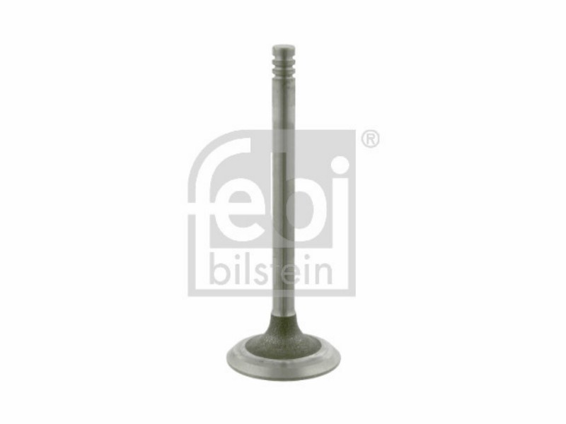 Valvola ingresso Seat cordoba (6K) 1.3 cordoba (6K)