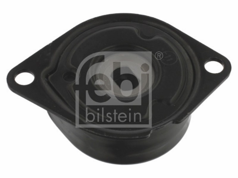 Tensionatore idraulico Audi 80 B4 (8C) 1.9 td 80 B4 (8C) 1