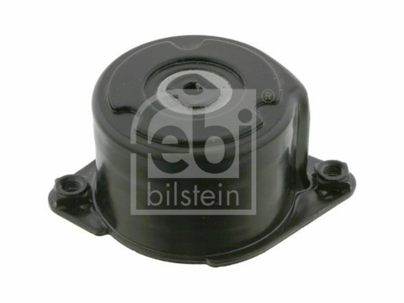 Tensionatore idraulico BMW 2.0 d - 110 kw / 150 hp 3.0 d -