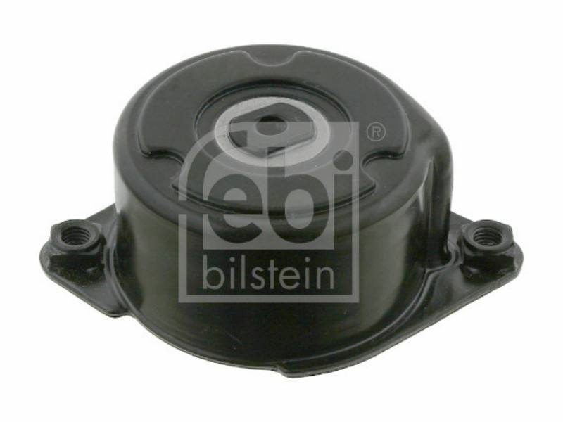 Tensionatore idraulico BMW 3.0 d - 135 kw / 184 hp 330 - 1