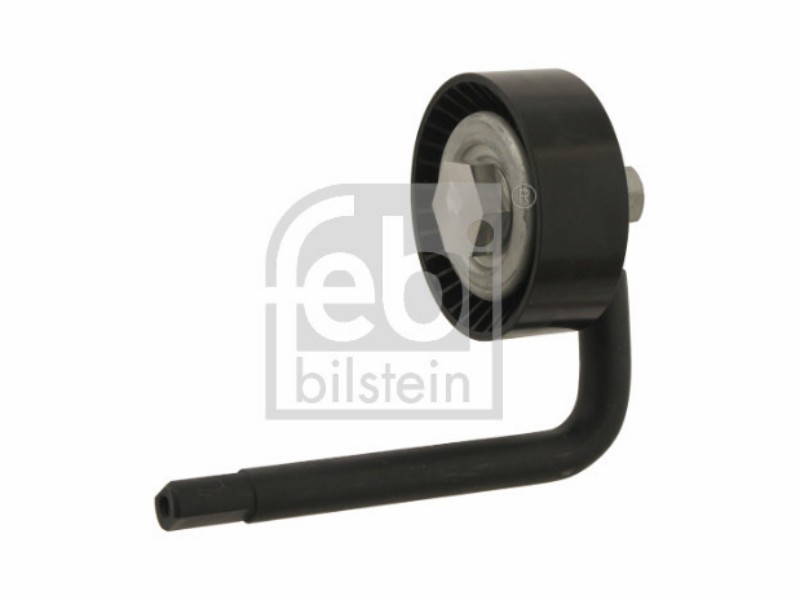 Puleggia tenditore BMW 3.0 d - 135 kw / 184 hp 330 - 1