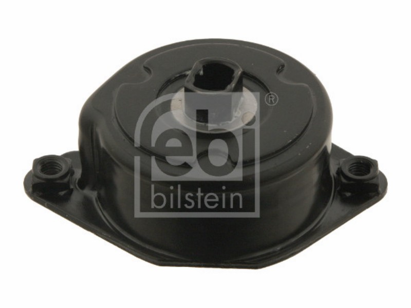 Tensionatore idraulico BMW 3.0 d - 135 kw / 184 hp 318 d -