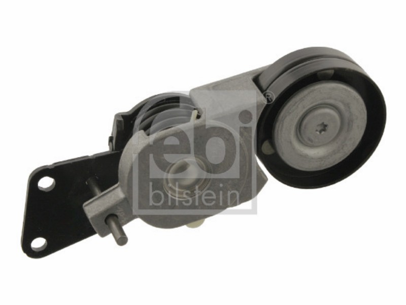Tensionatore idraulico Seat cordoba (6l) 1.9 sdi cordoba (