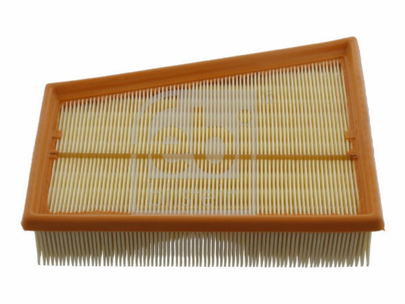 Filtro aria pkw II (bm) 1.9 dCi