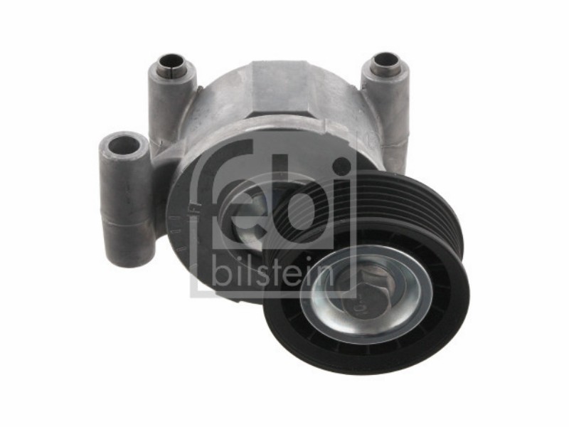 Tensionatore idraulico Ford pkw c-max 2.0 pfi duratec he 1