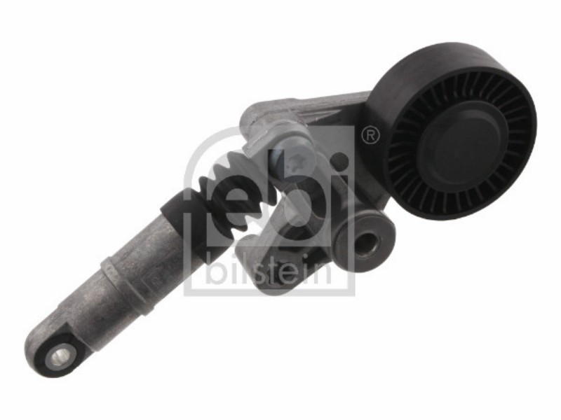 Tensionatore idraulico Audi A4 (8E) 2.5 TDI V6 24V A4 (8E)