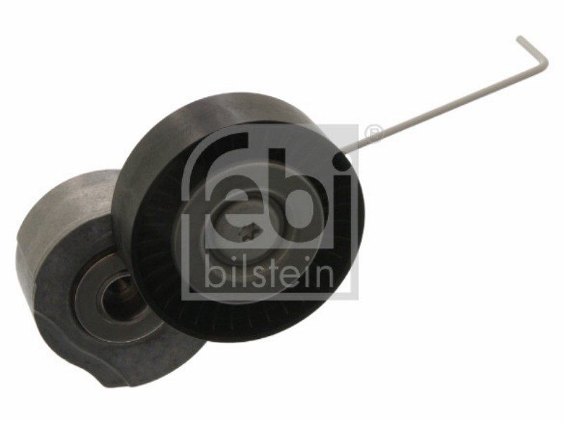 Tensionatore idraulico changan-volvo S80L 4x4 3.0 S80L 4x4