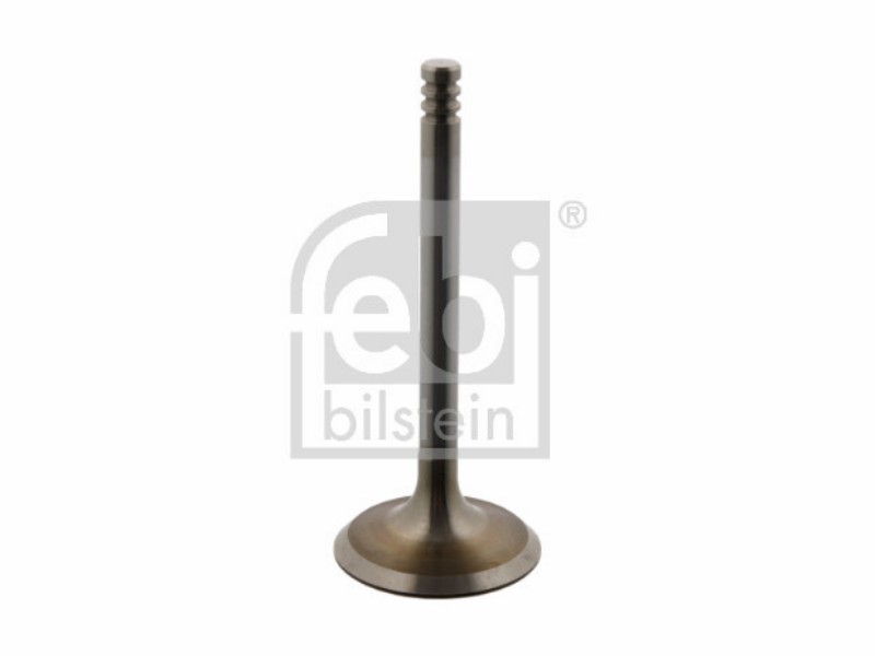 Valvola ingresso Seat cordoba (6K) 1.6 cordoba (6K)