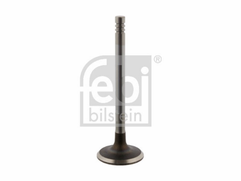 Valvola ingresso Skoda Fabia I (6Y) 1.0 Fabia I (6Y)
