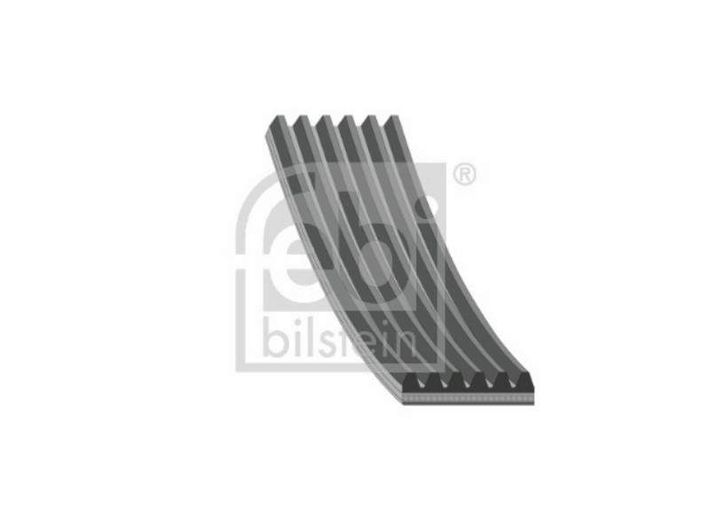 Cinghia ausiliaria Ford pkw mondeo 2.0 tdci duratorq 1