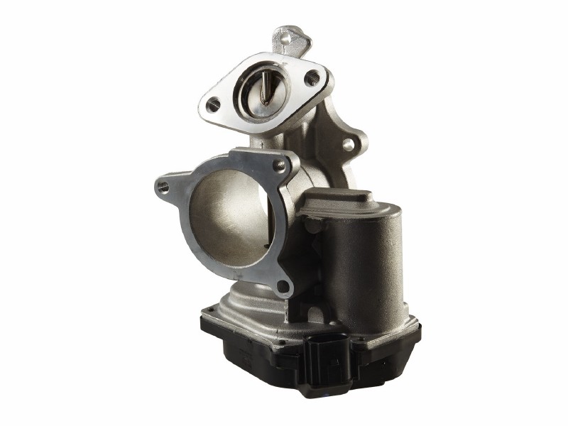 EGR valve