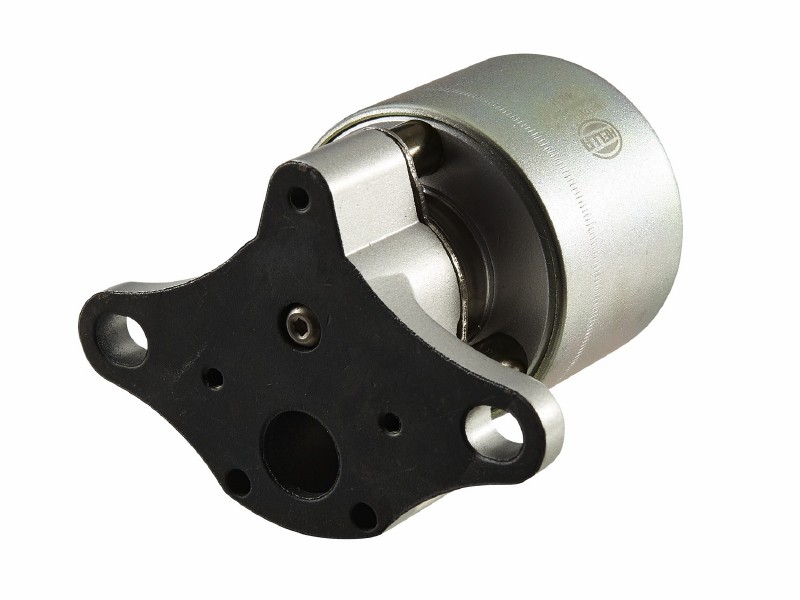 EGR valve