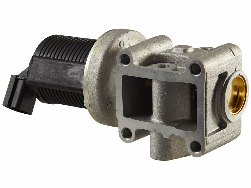EGR valve