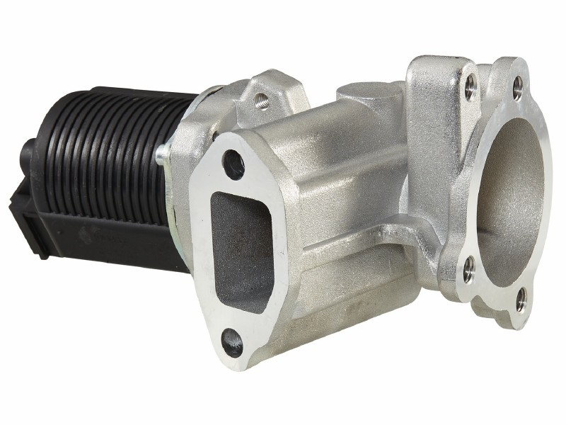 EGR valve