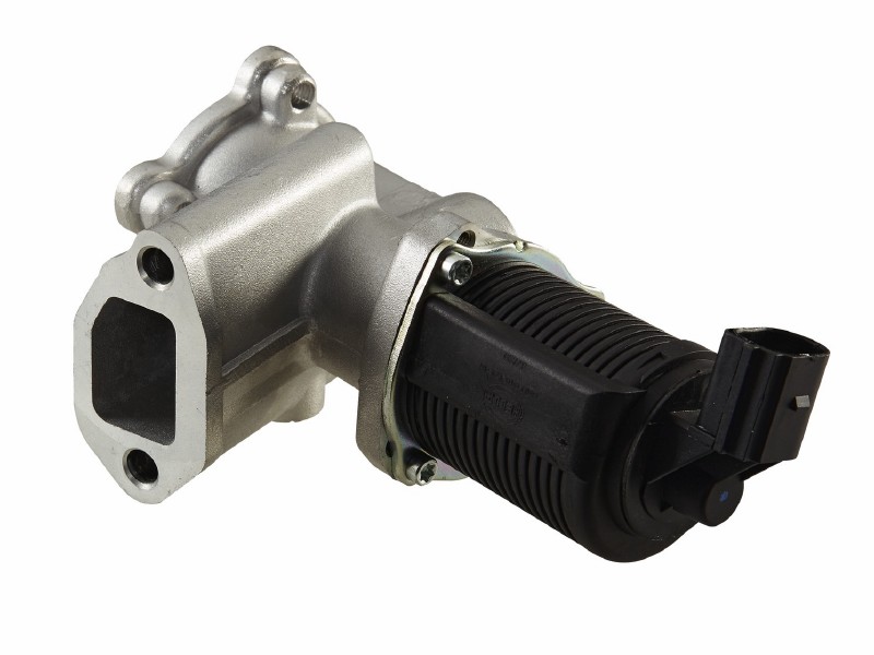 EGR valve