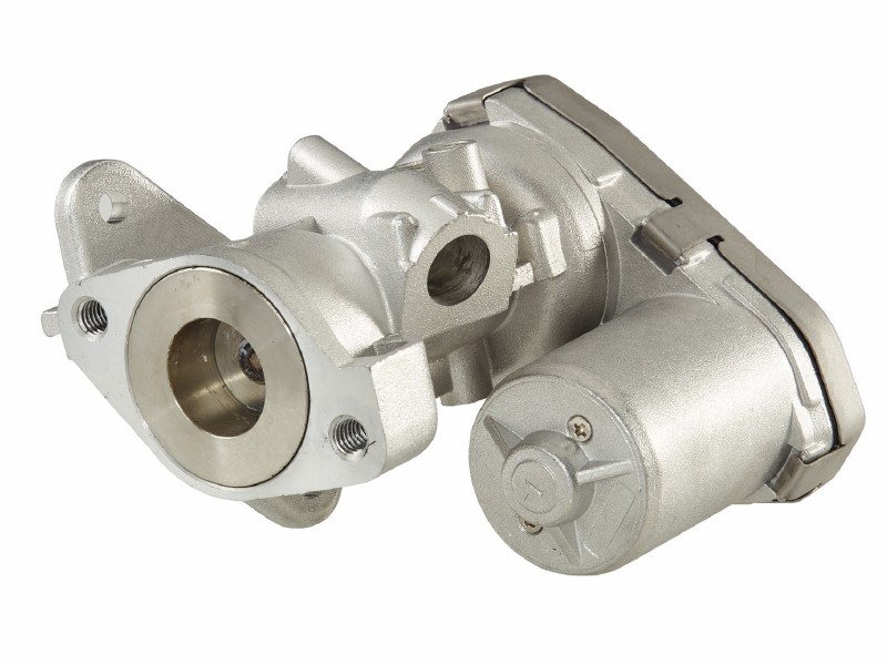 EGR valve