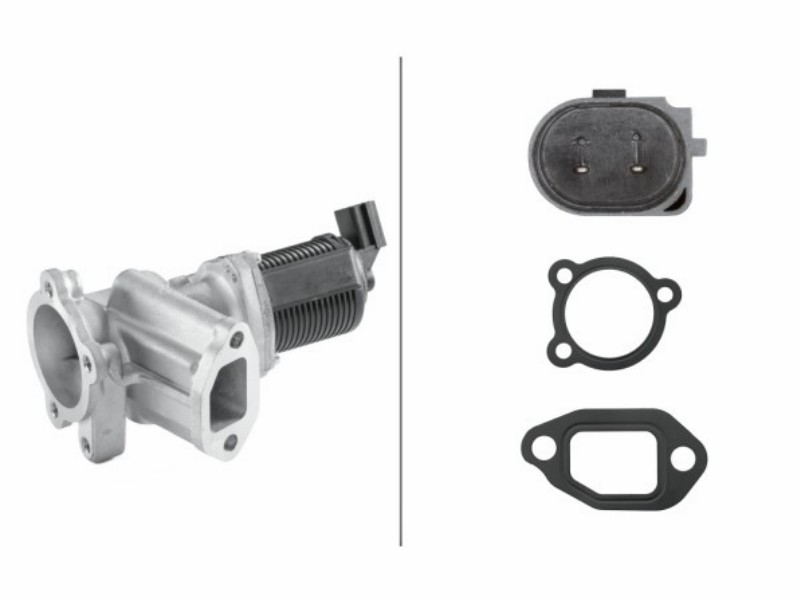 EGR valve