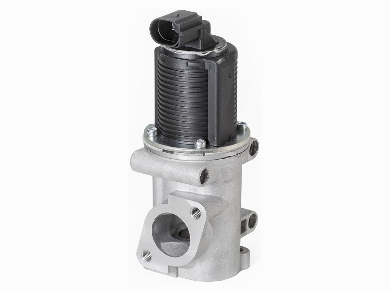 EGR valve