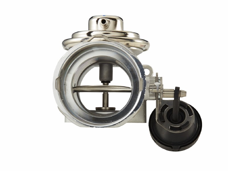 EGR valve
