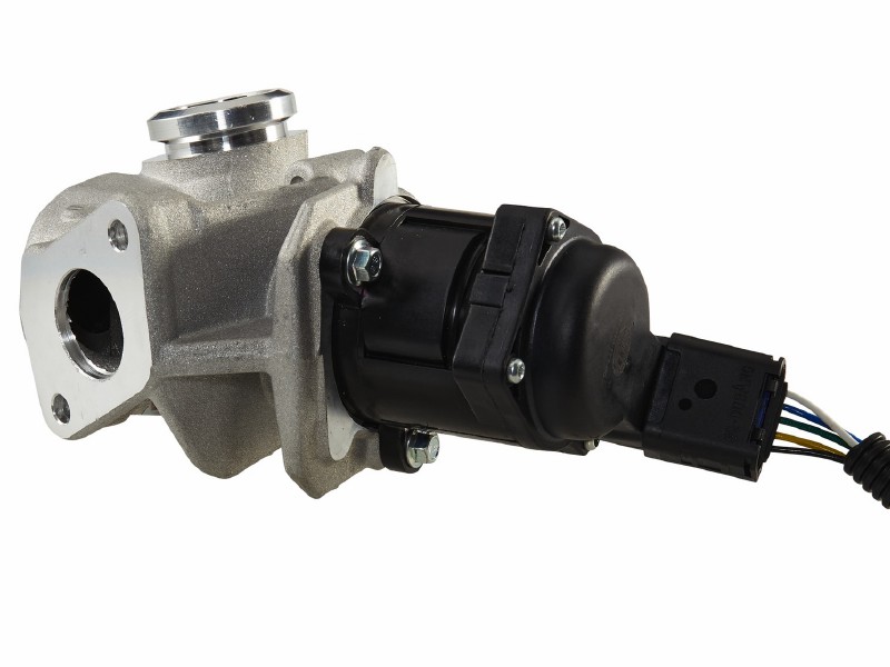 EGR valve