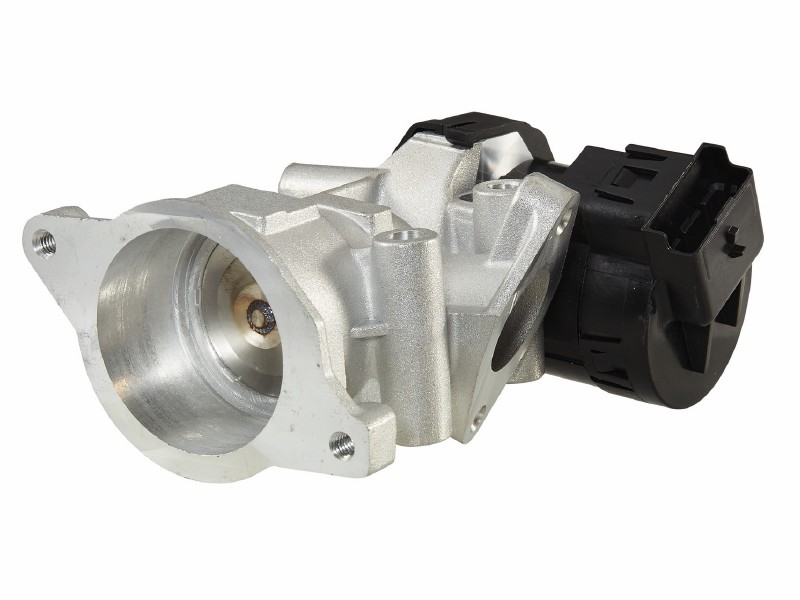 EGR valve