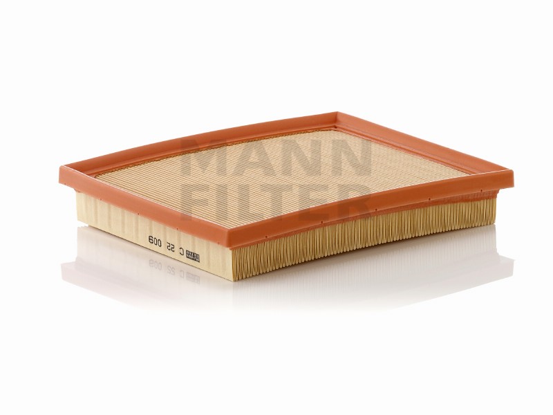 Air filter