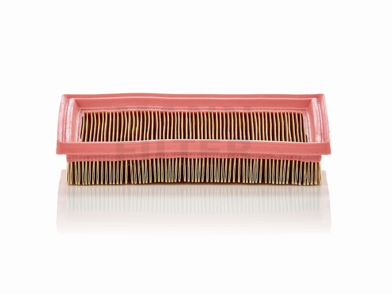 Air filter