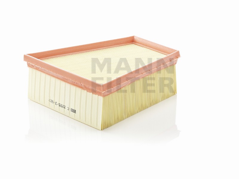 Filtro aria Seat cordoba III