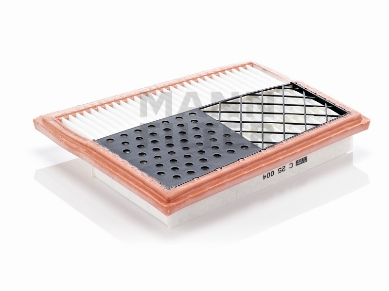 Air filter
