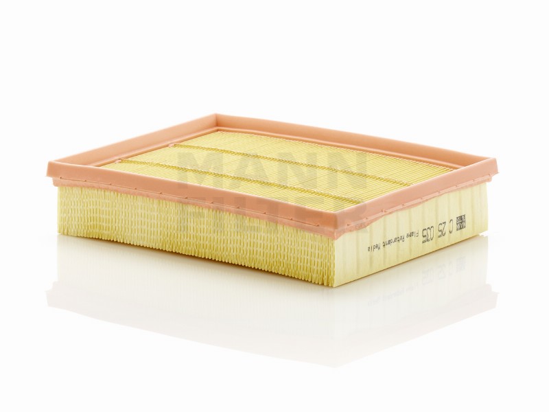 Air filter