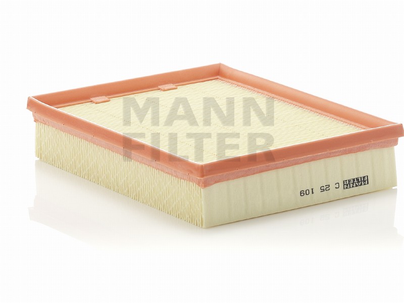 Air filter