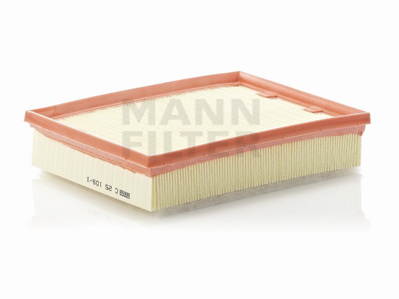 Air filter